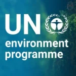 Africa is solution to Europe, Asia’s energy, transition needs – AfDB